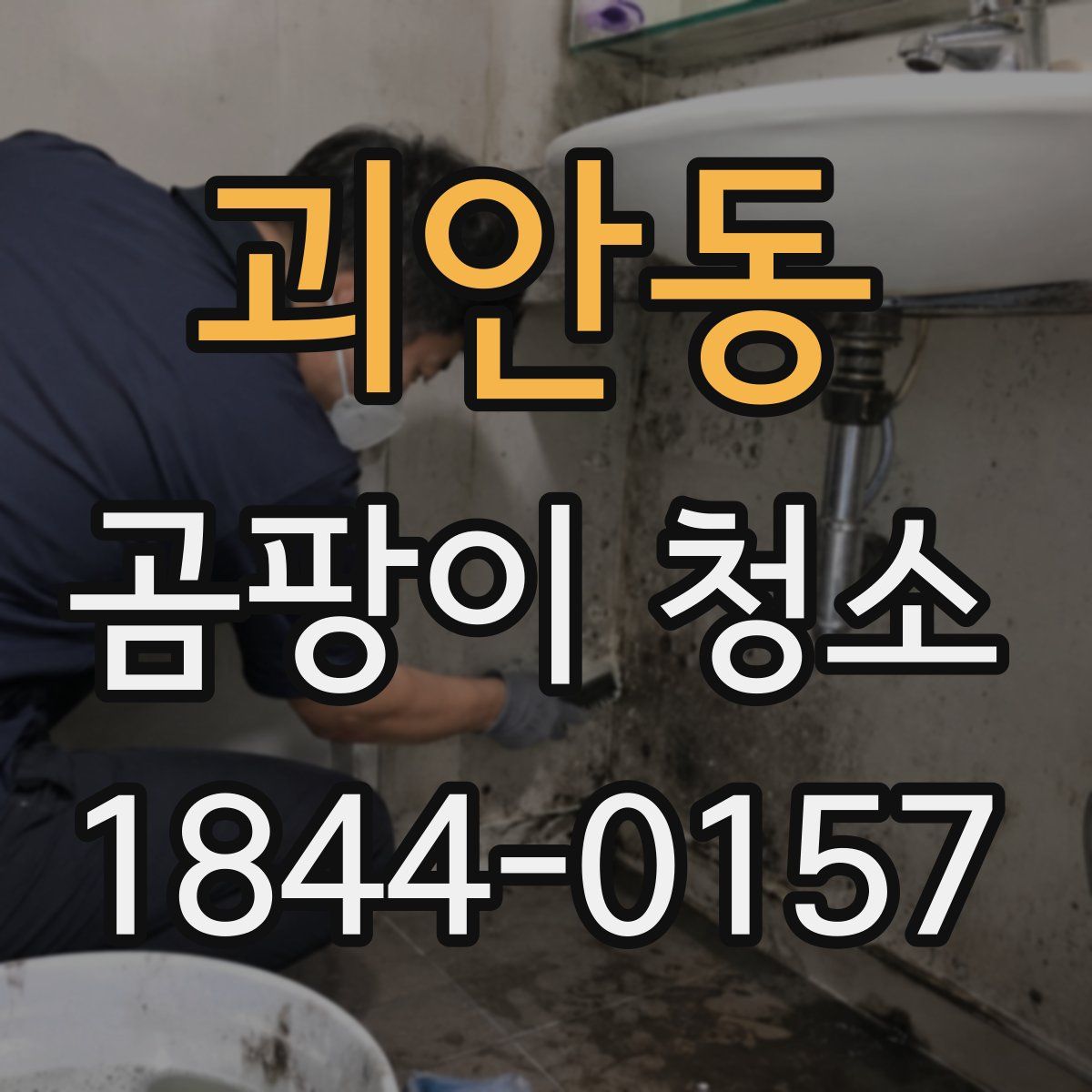 괴안동 곰팡이 청소