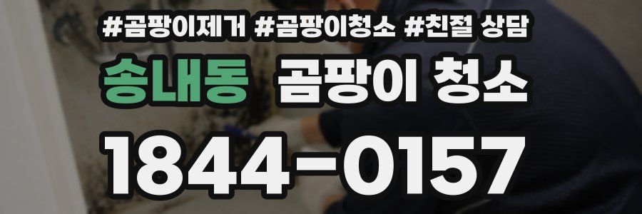 송내동 곰팡이 청소