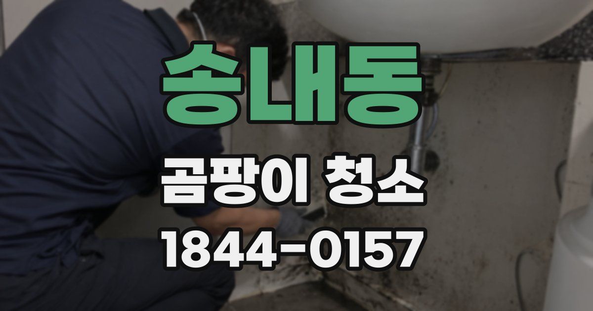 송내동 곰팡이 청소