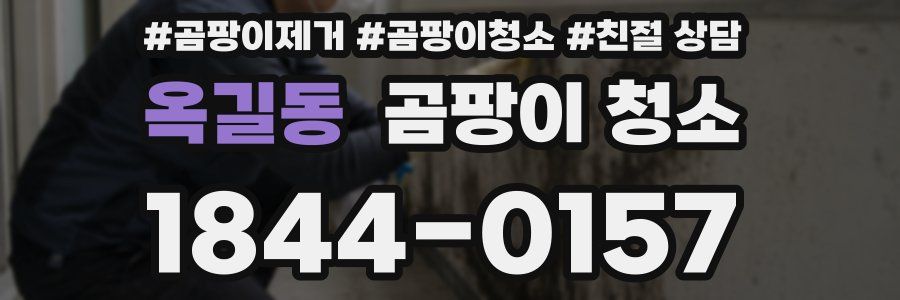 옥길동 곰팡이 청소