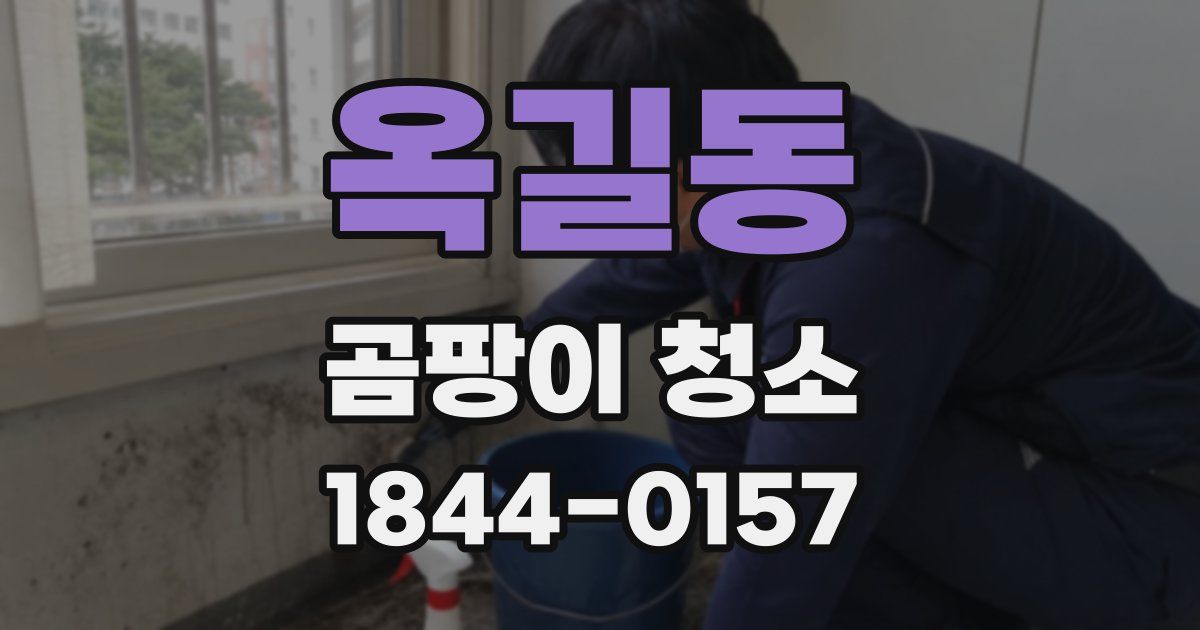 옥길동 곰팡이 청소