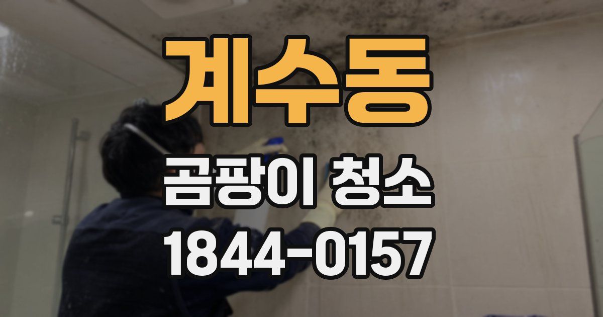 계수동 곰팡이 청소