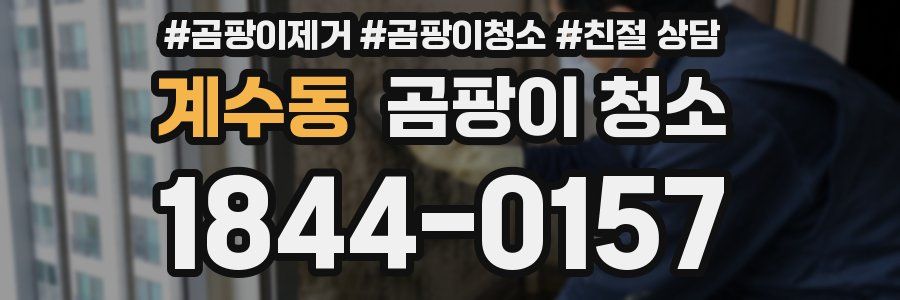 계수동 곰팡이 청소