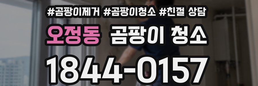 오정동 곰팡이 청소