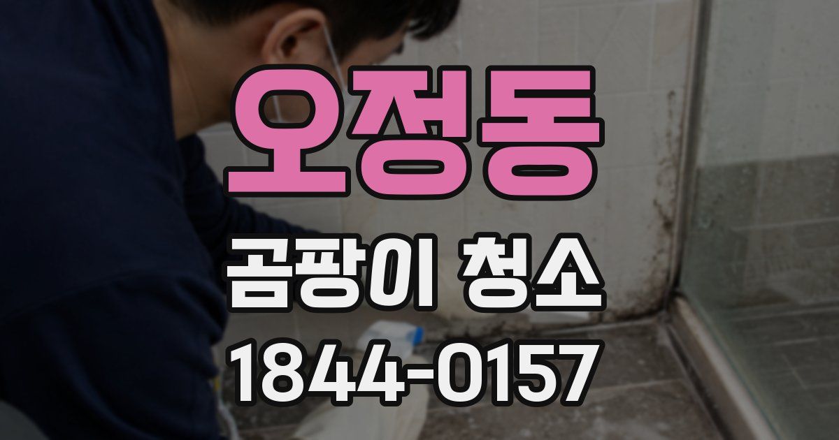 오정동 곰팡이 청소