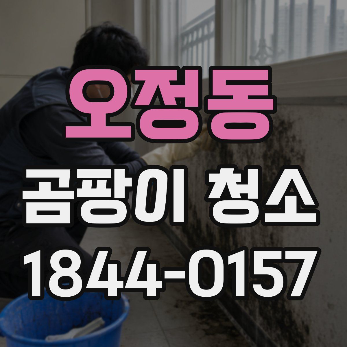 오정동 곰팡이 청소