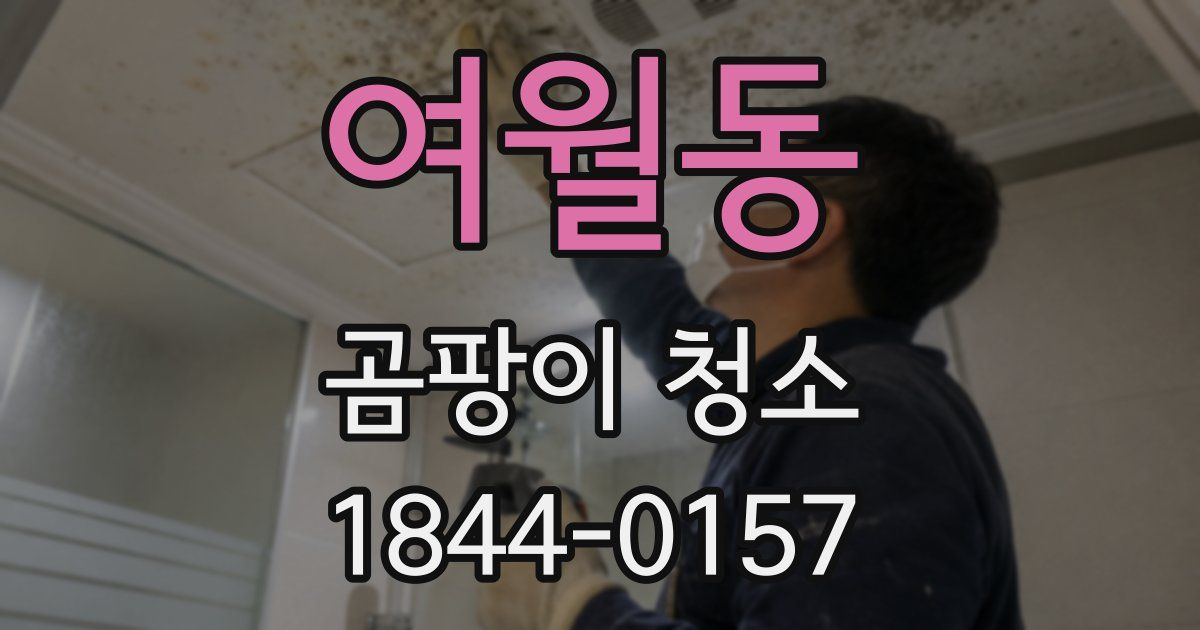 여월동 곰팡이 청소