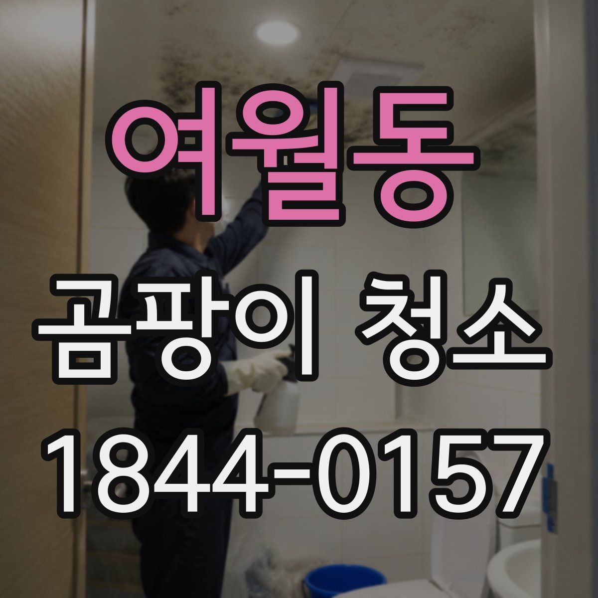 여월동 곰팡이 청소