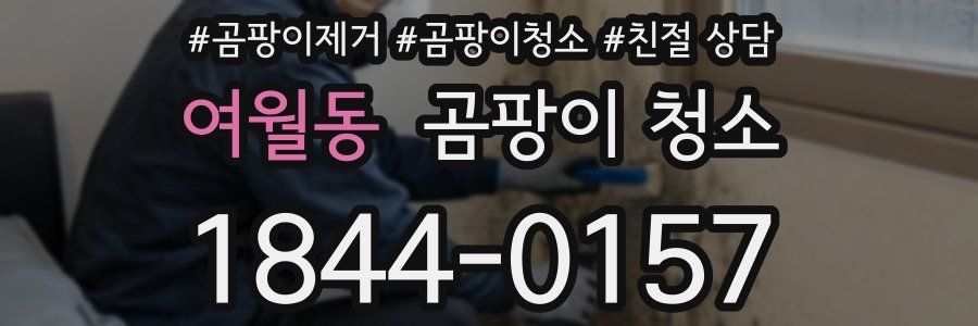 여월동 곰팡이 청소