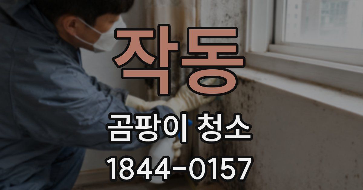 작동 곰팡이 청소