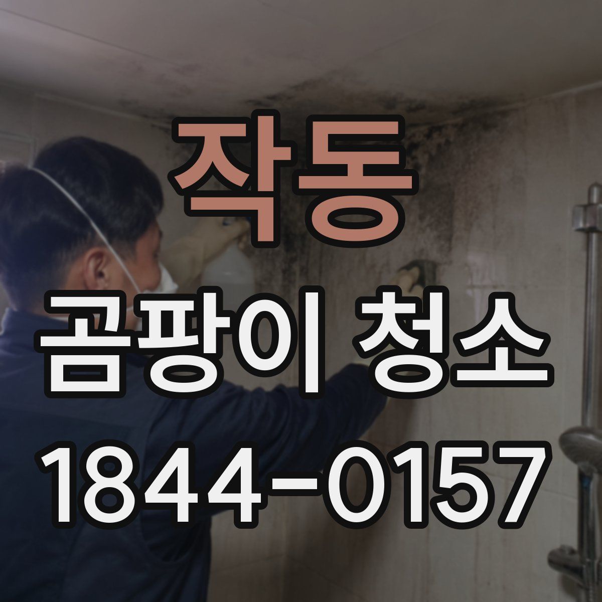 작동 곰팡이 청소