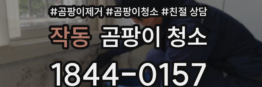 작동 곰팡이 청소