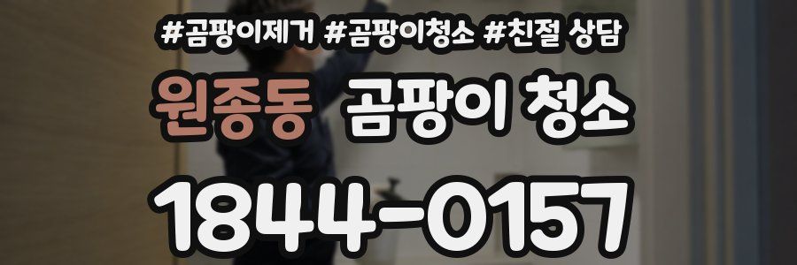 원종동 곰팡이 청소