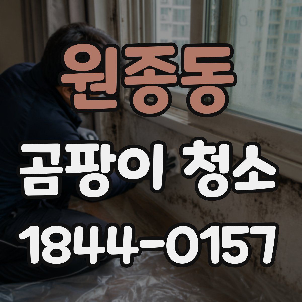 원종동 곰팡이 청소