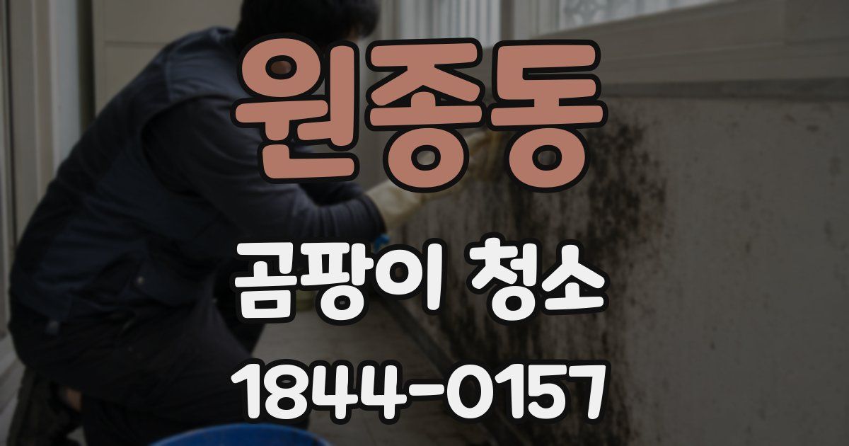 원종동 곰팡이 청소