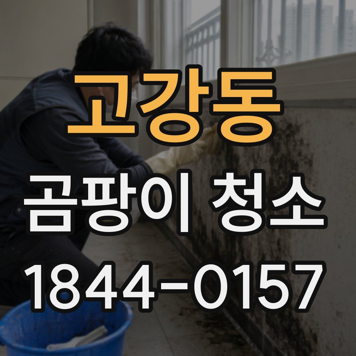 고강동 곰팡이 청소