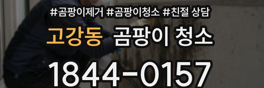 고강동 곰팡이 청소