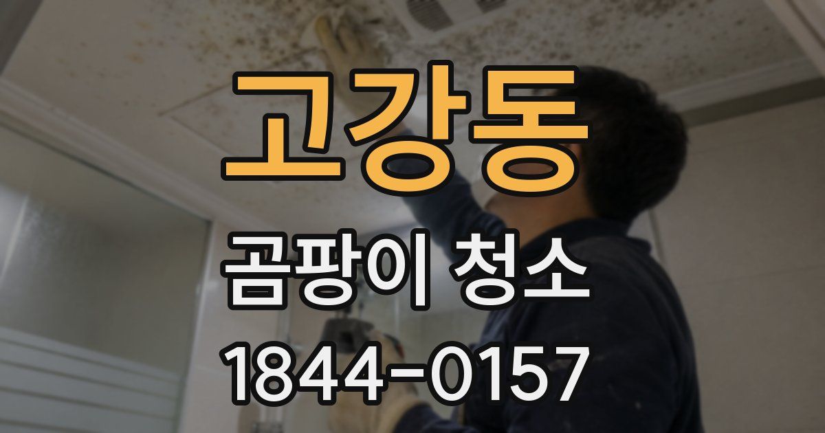 고강동 곰팡이 청소