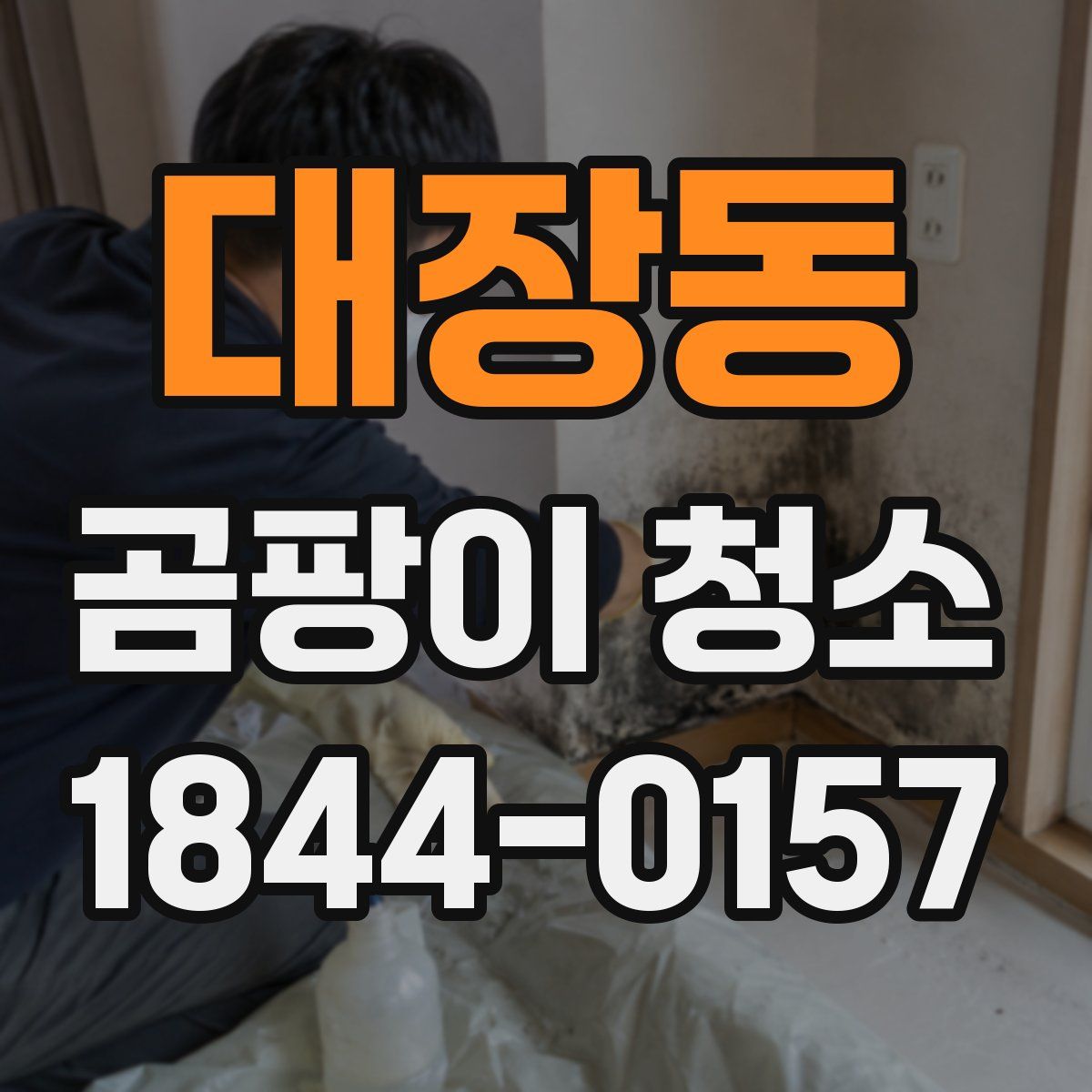 대장동 곰팡이 청소