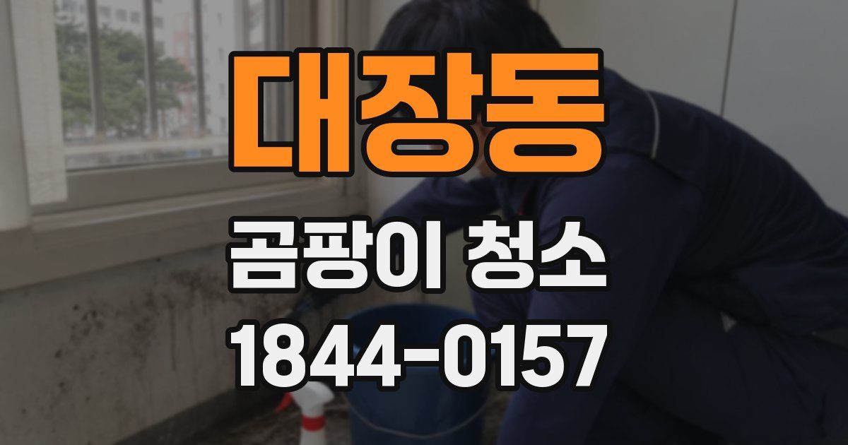 대장동 곰팡이 청소