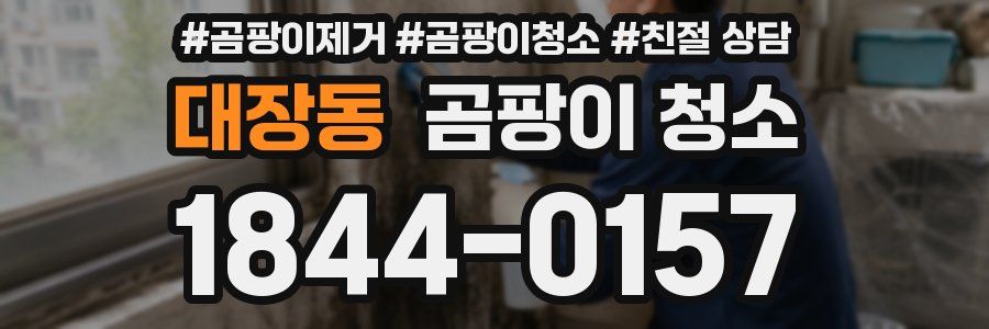 대장동 곰팡이 청소