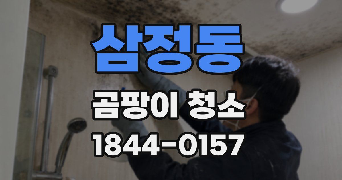 삼정동 곰팡이 청소