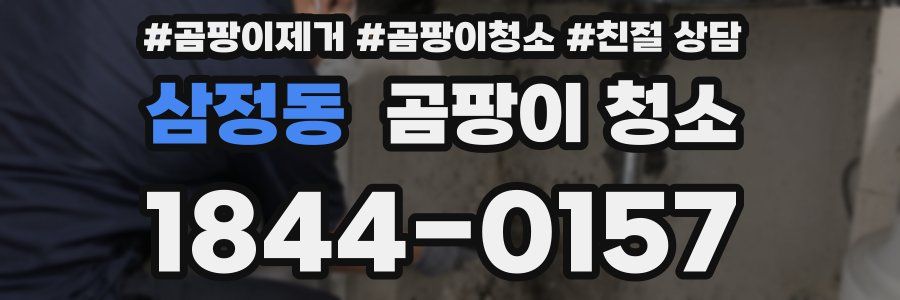 삼정동 곰팡이 청소
