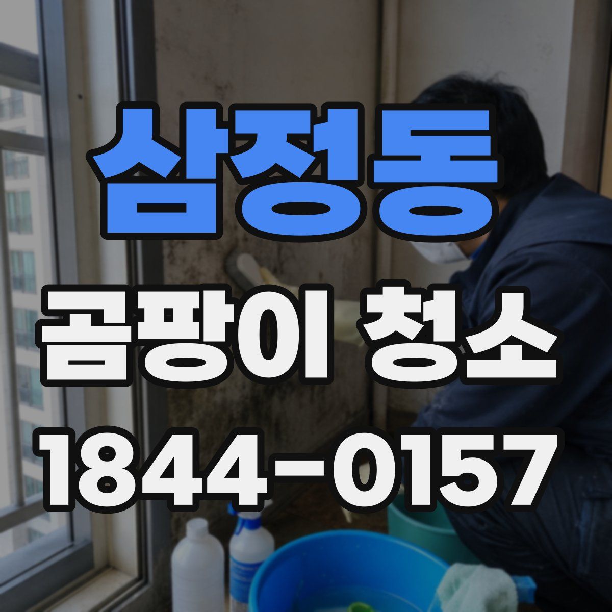 삼정동 곰팡이 청소