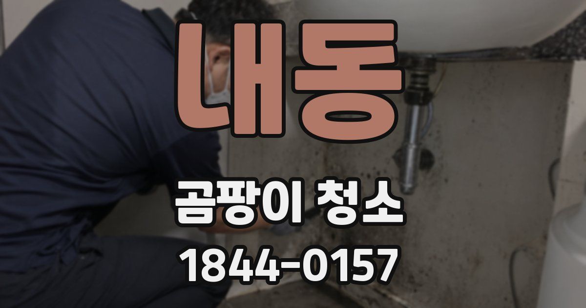 내동 곰팡이 청소