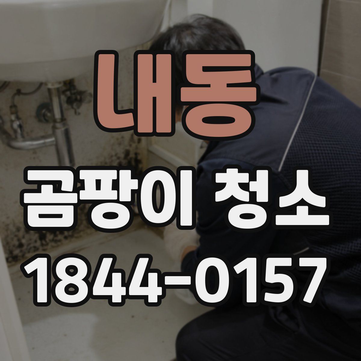 내동 곰팡이 청소