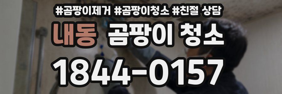 내동 곰팡이 청소