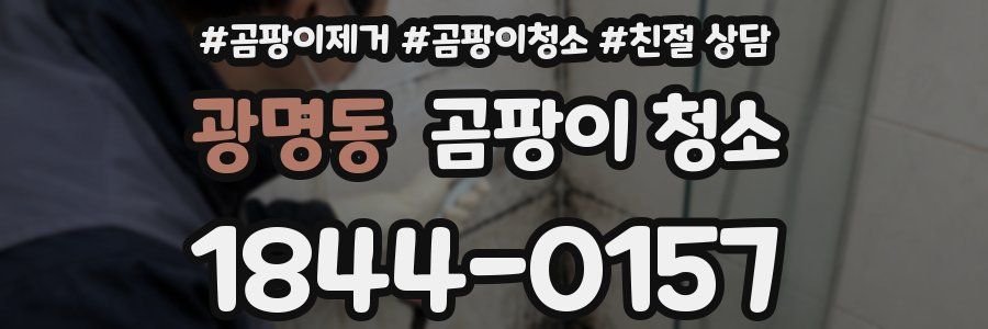 광명동 곰팡이 청소