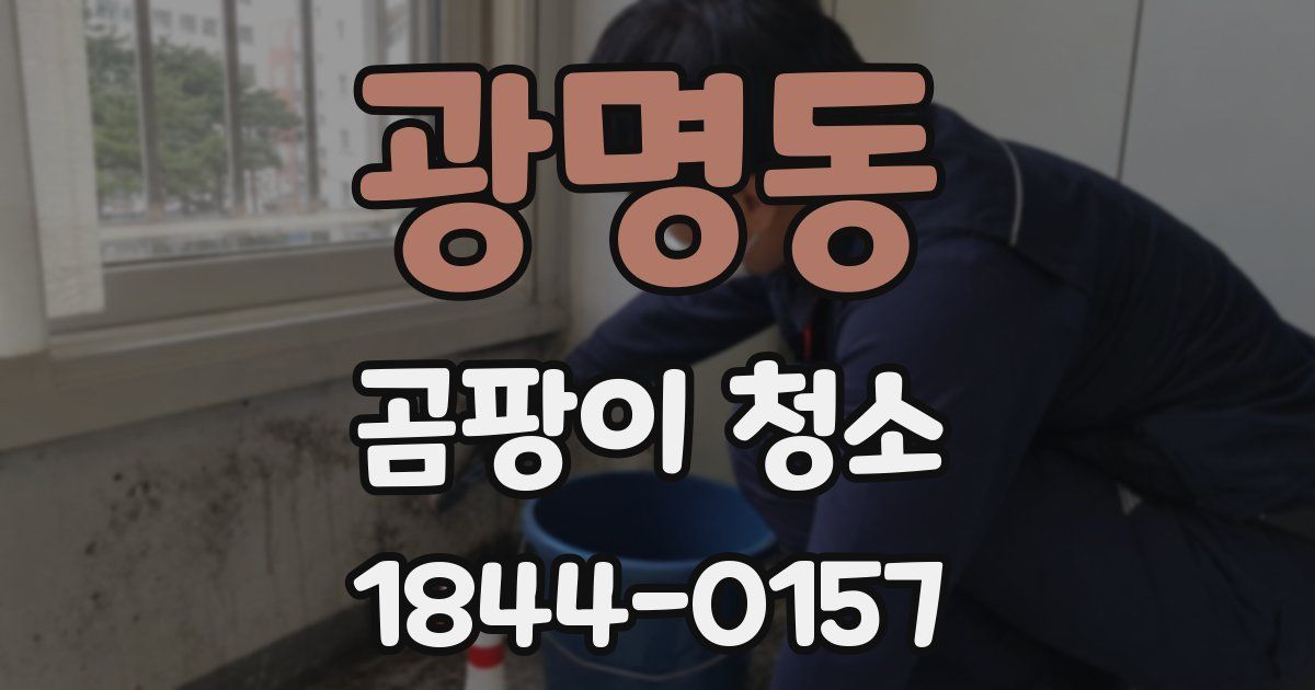 광명동 곰팡이 청소