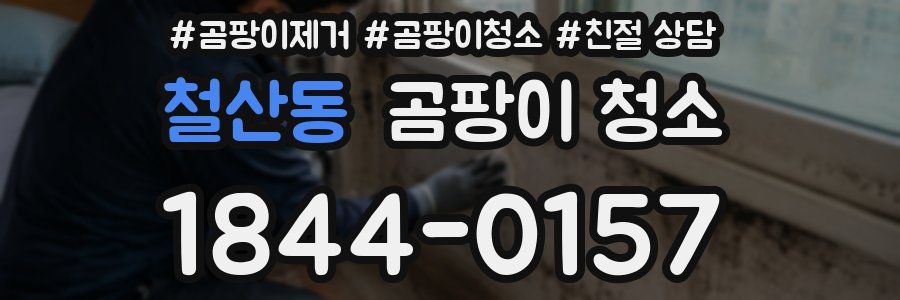철산동 곰팡이 청소