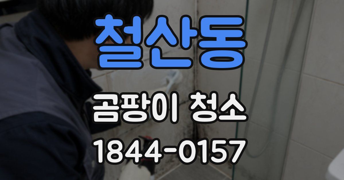 철산동 곰팡이 청소
