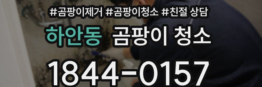 하안동 곰팡이 청소
