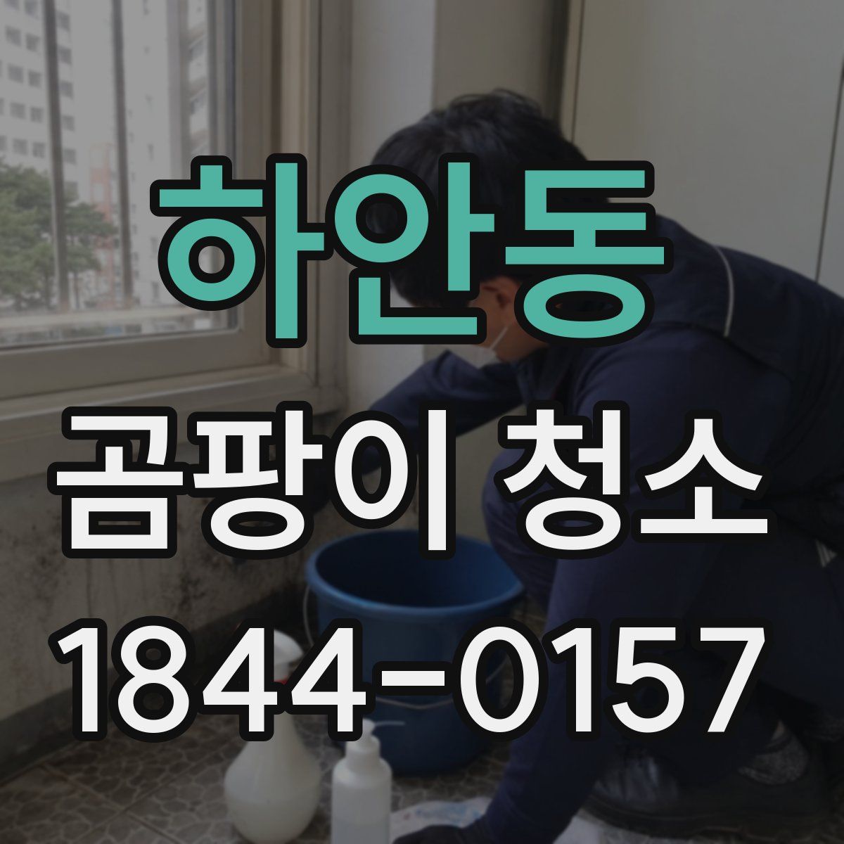 하안동 곰팡이 청소