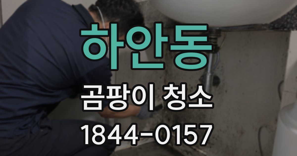 하안동 곰팡이 청소