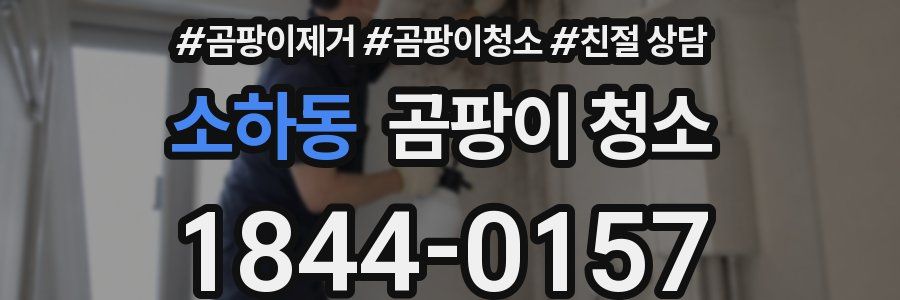 소하동 곰팡이 청소