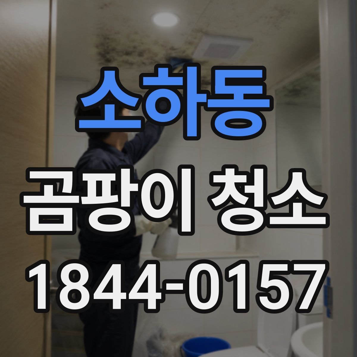 소하동 곰팡이 청소