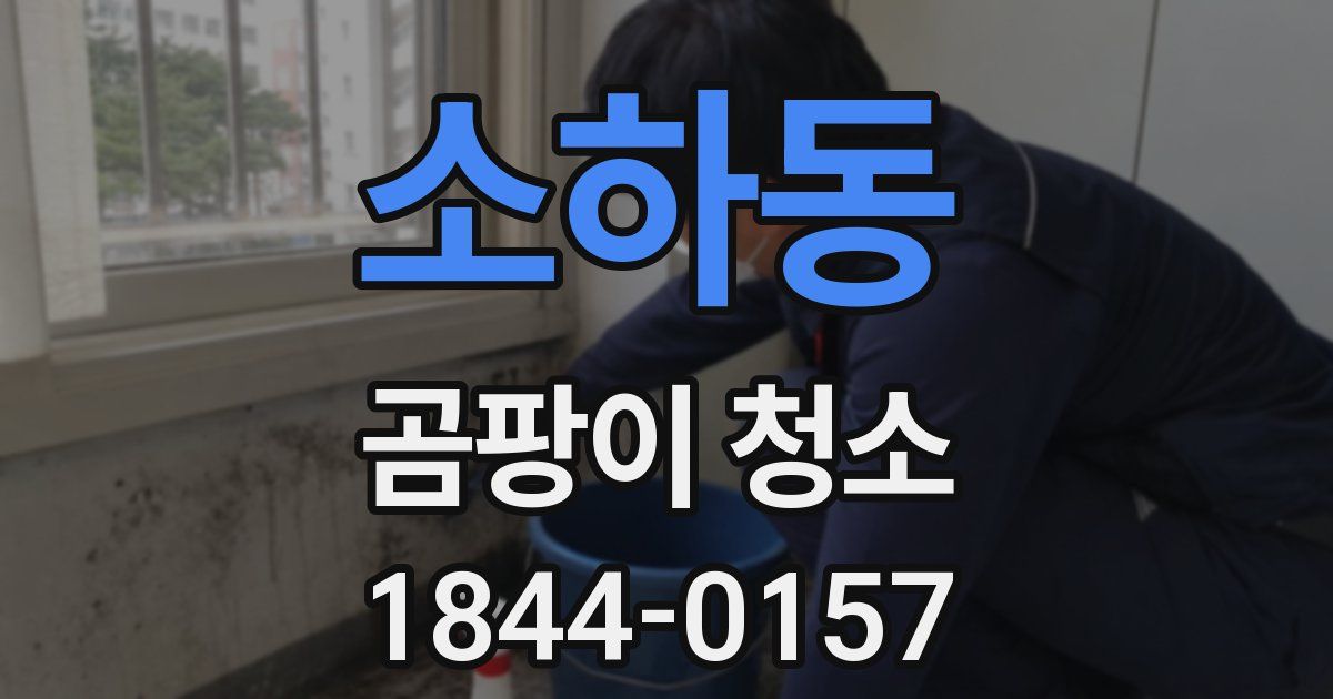 소하동 곰팡이 청소