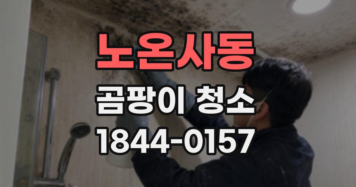 노온사동 곰팡이 청소