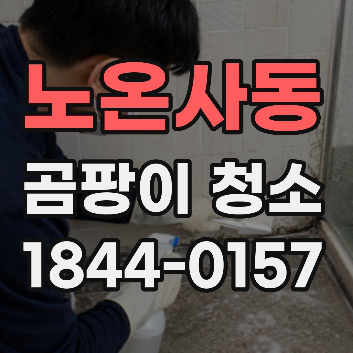 노온사동 곰팡이 청소