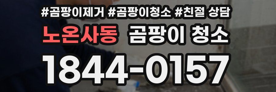 노온사동 곰팡이 청소