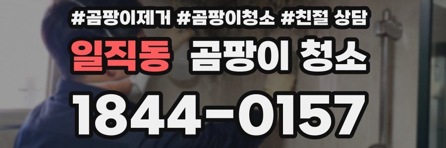 일직동 곰팡이 청소