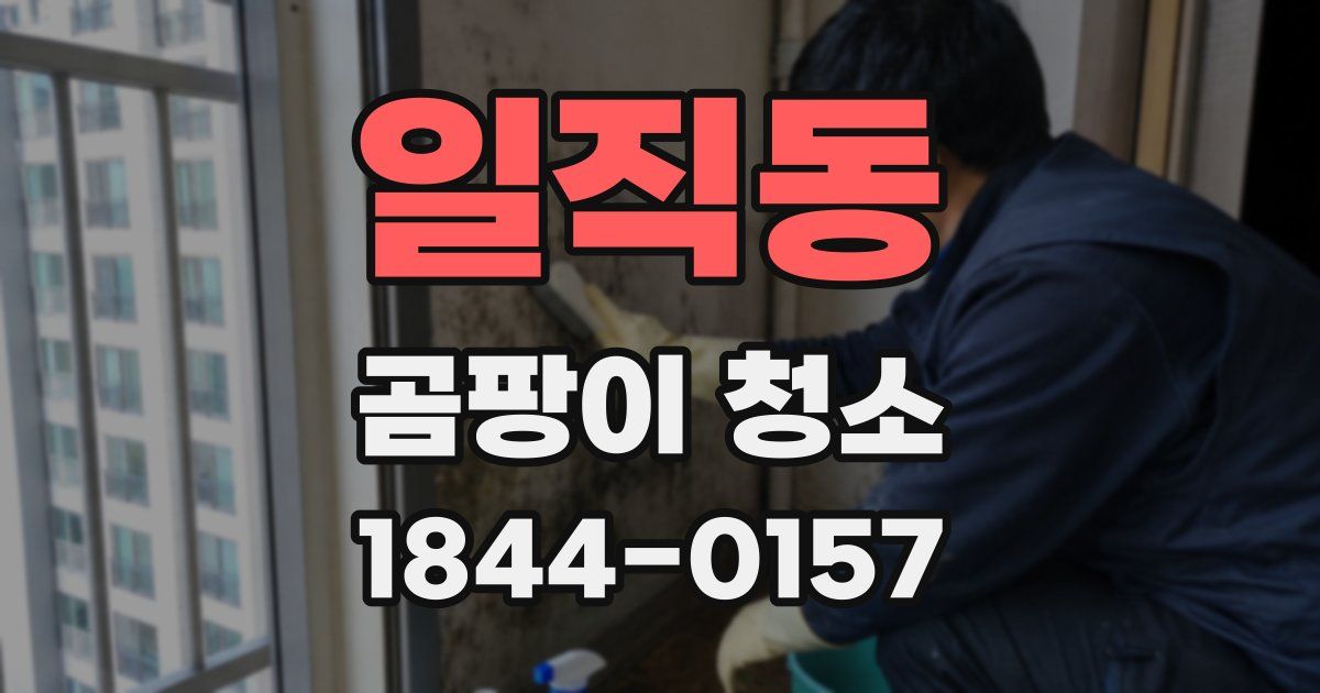 일직동 곰팡이 청소