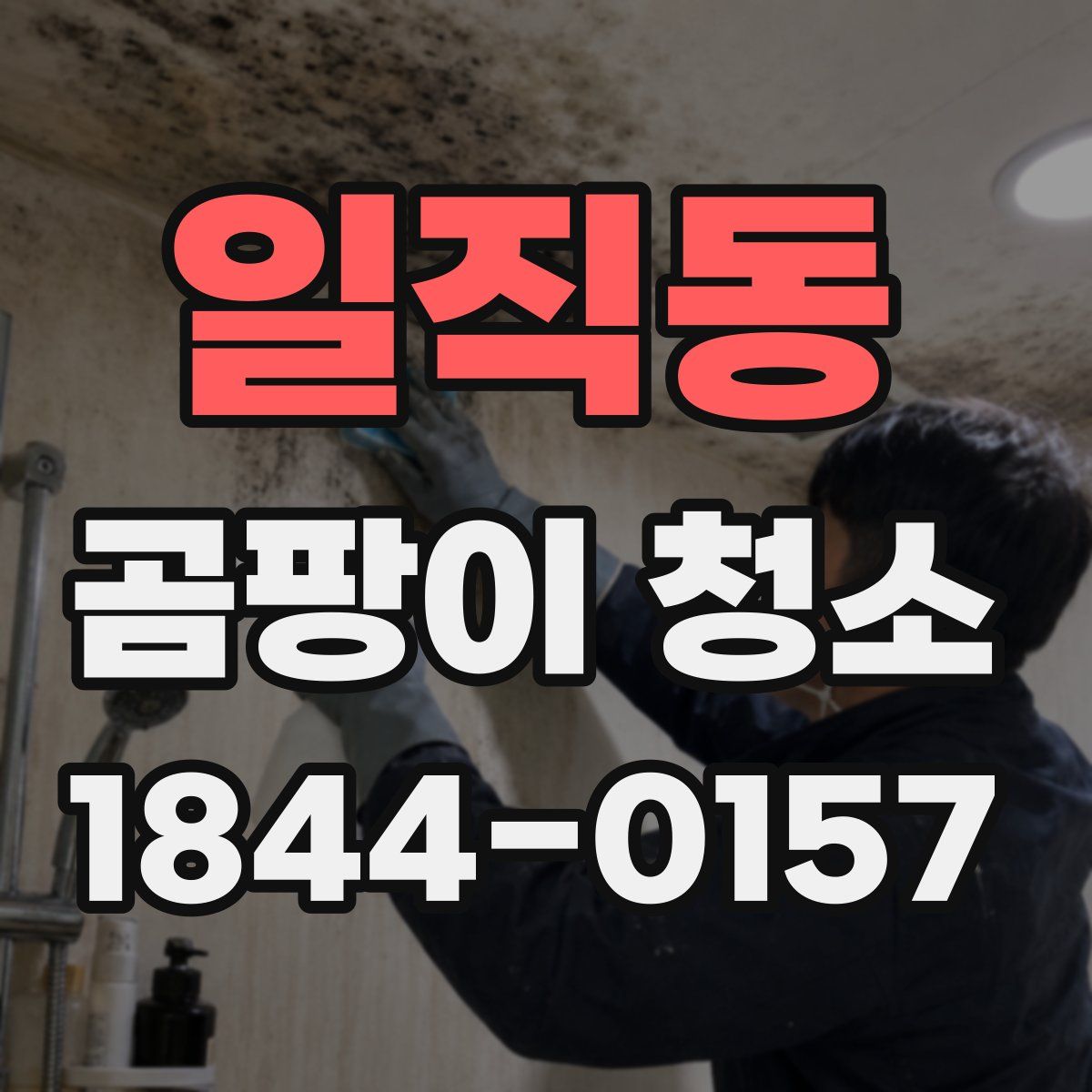 일직동 곰팡이 청소