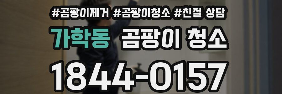 가학동 곰팡이 청소