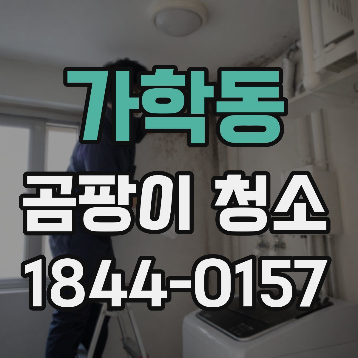 가학동 곰팡이 청소