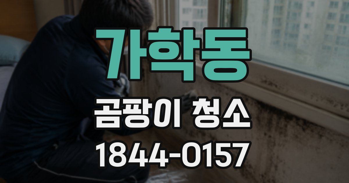 가학동 곰팡이 청소